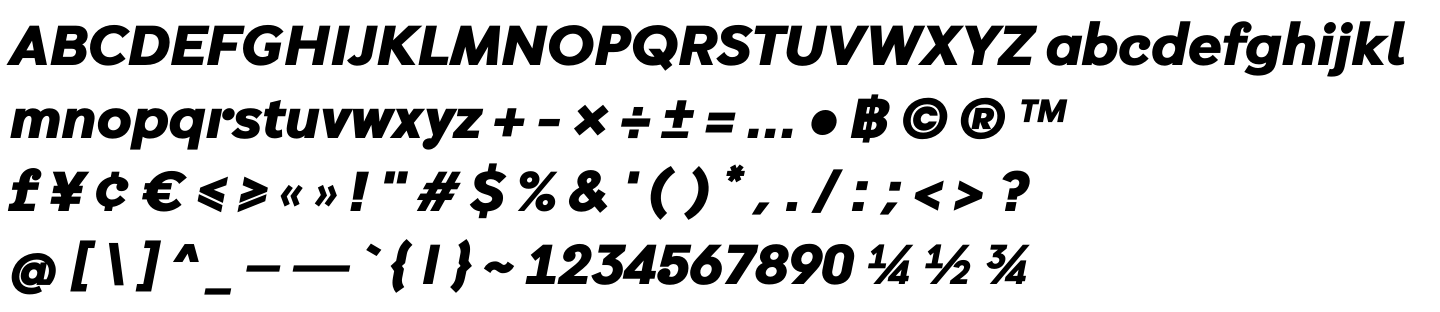 DB Mean Bold Italic