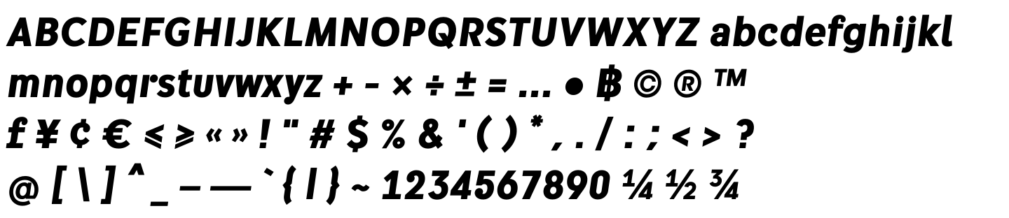 DB Mixtura Narrow Bold Italic